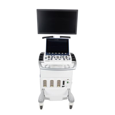 GE GE Vivid S70 Ultrasound Machine