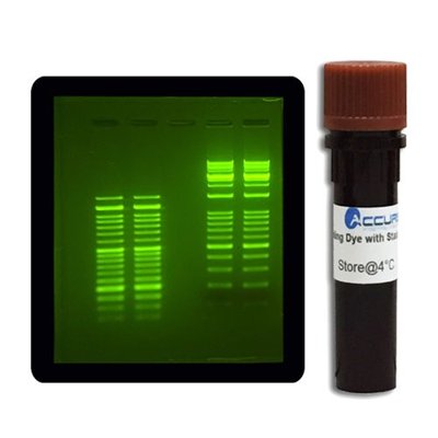 Benchmark Scientific Accuris SmartBlue™ Transilluminators