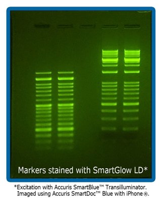 Benchmark Scientific Accuris SmartBlue™ Transilluminators