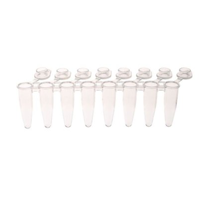CELLTREAT PCR 8-Strip Tubes