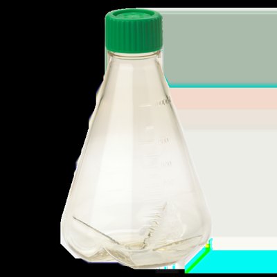 Polycarbonate Small Erlenmeyer Flasks
