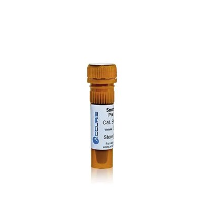 Benchmark Scientific SmartGlow™ DNA Stains