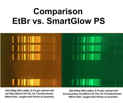Benchmark Scientific SmartGlow™ DNA Stains