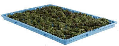 Intermetro Industries Corp WavDri™ Drying Trays