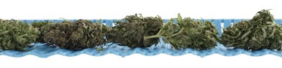 Intermetro Industries Corp WavDri™ Drying Trays