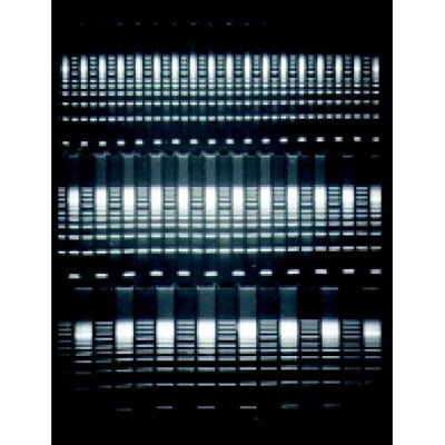 Thermo Fisher Owl™ A2 and A5 Large Gel System Replacement Parts