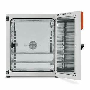 BINDER BF Series Standard Avantgarde Incubators with Forced Convection
