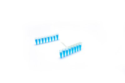 EZcap™ 1x8 PCR FilmStrips™
