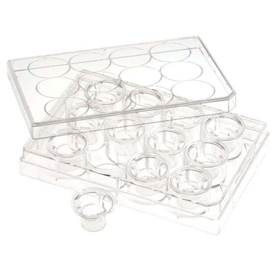 Plates-Permeable Cell Culture Inserts