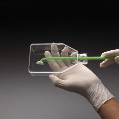 CELLTREAT Sterile Cell Scrapers