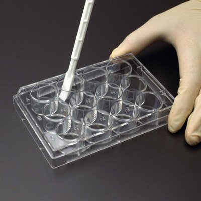 CELLTREAT Sterile Double End Cell Lifters