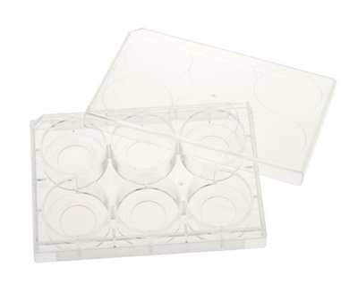 CELLTREAT Tissue Culture Treated Glass Bottom Plates