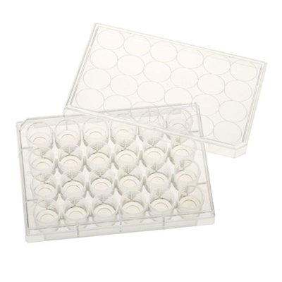 Tissue Culture Treated Glass Bottom Plates