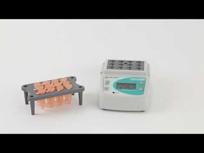Labnet International AccuBlock™ Mini-Compact Dry Bath