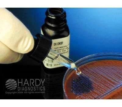 VWR International OxiDrop™ Liquid Oxidase Reagent