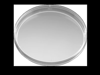 Corning® Falcon® Disposable Petri Dishes, Sterile