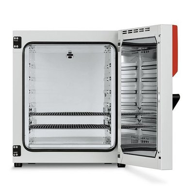 BINDER ED Series Avantgarde Drying and Heating Chambers