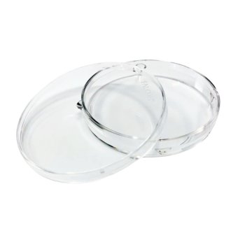Corning Life Sciences Falcon® Bacteriological Petri Dishes
