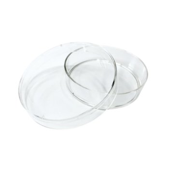 Falcon® Bacteriological Petri Dishes
