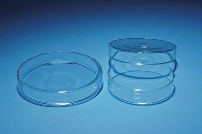 Glass Petri Dishes, 900mm - 2000mm