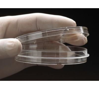 CELLTREAT Non-Treated Cell Culture Dishes