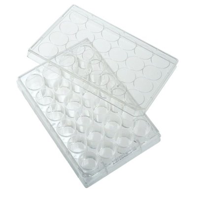 CELLTREAT Non-Treated Polystyrene Multiple Well Plates