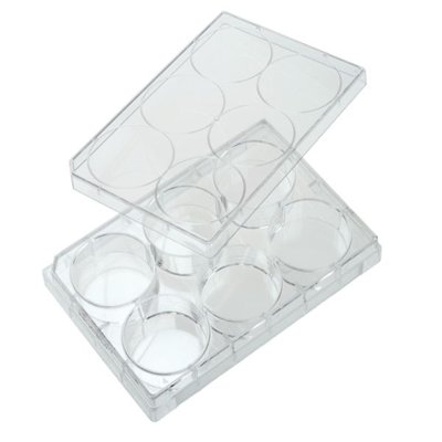 Non-Treated Polystyrene Multiple Well Plates