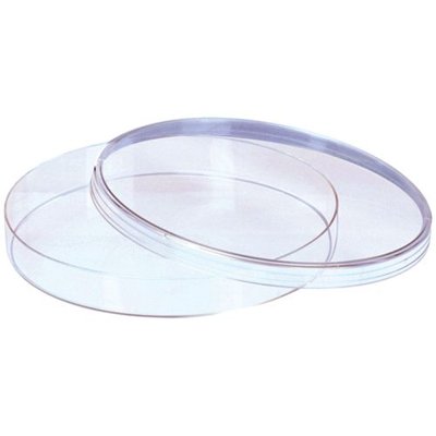 Petri Dishes