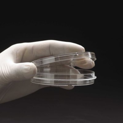 CELLTREAT Tissue Culture Treated Dishes