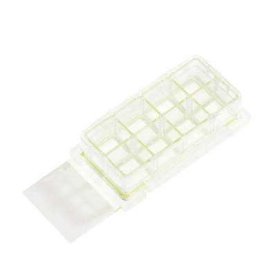 Chambered Cell Culture Slides