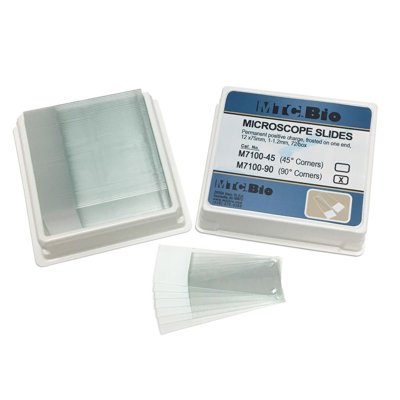 Microscope Slides
