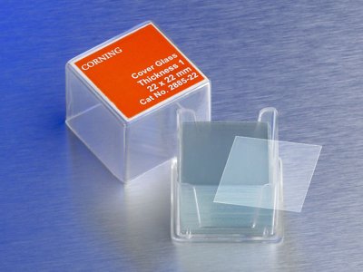 Square #1 Cover Glasses