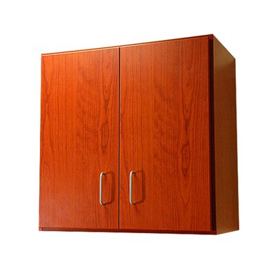 DRE Pro Cabinet Series: 2 Door Wall Cabinet