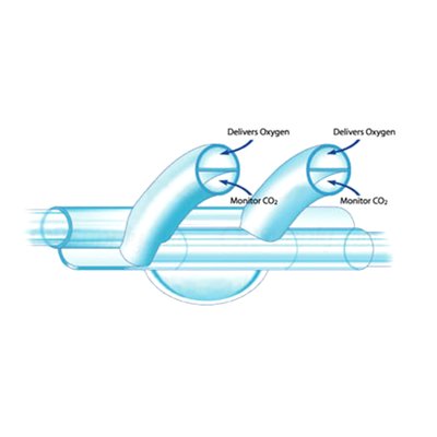 Hudson RCI Hudson Softech Bi-Flo Cannula (Case of 25)