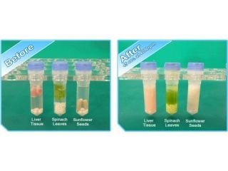 Benchmark Scientific BeadBlaster™ 24 Microtube Homogenizer