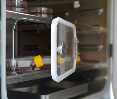 BINDER CB Series CO₂ Incubators with Heat Sterilizable CO₂ Sensor
