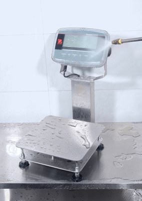 Ohaus Corporation Defender 6000 Extreme Washdown Bench Scale with Column Mount (0.002lb)