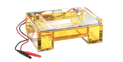 EasyCast B2 Mini Gel Electrophoresis Systems