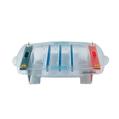 ENDURO™ 10.10 Horizontal Gel Box, 10 x 10 cm