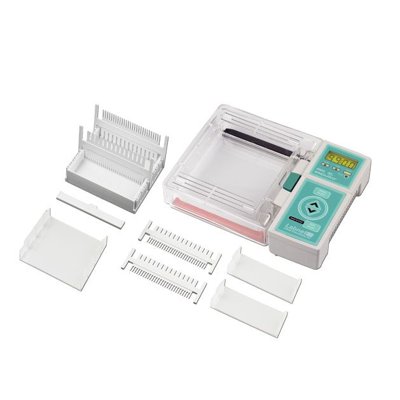 ENDURO™ Gel XL Horizontal Electrophoresis System