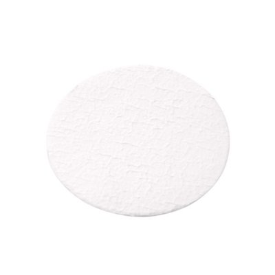 Glass Fiber Filter Disks (Pre-Filter Inserts)