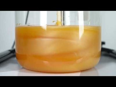 Heidolph Hei-TORQUE Expert Overhead Stirrers