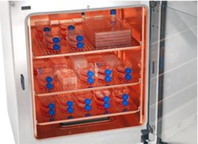 Thermo Fisher Heracell™ VIOS 250i CO2 Incubators
