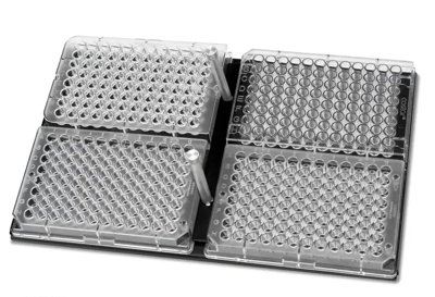 Boekel Scientific  Microjive Microplate Shakers