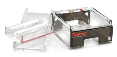 Owl™ D2 Wide-Gel Electrophoresis System