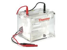 Owl™ P82 Single-Sided Vertical Electrophoresis System