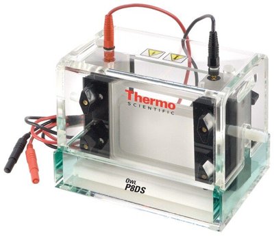 Owl™ P8DS Dual-Gel Vertical Electrophoresis Systems