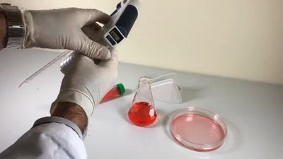 SCILOGEX SCI-Fill Motorized Pipette Filler