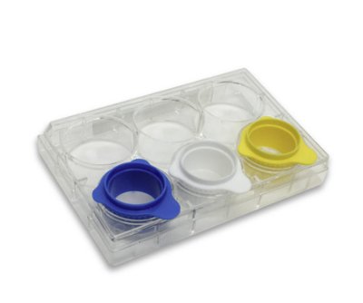 MTC Bio SureStrain™ Premium Cell Strainers