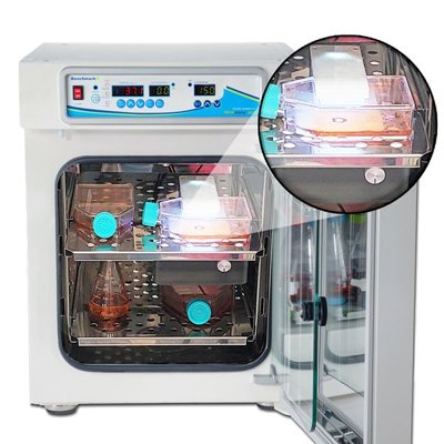 Benchmark Scientific SureTherm™ CO2 Incubators